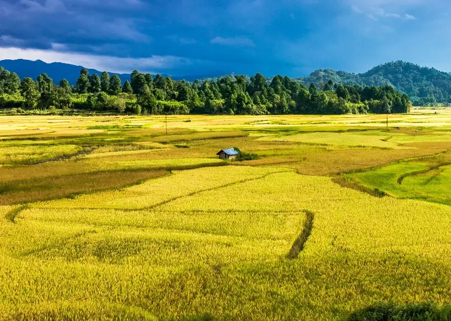 india best monsoon destinations