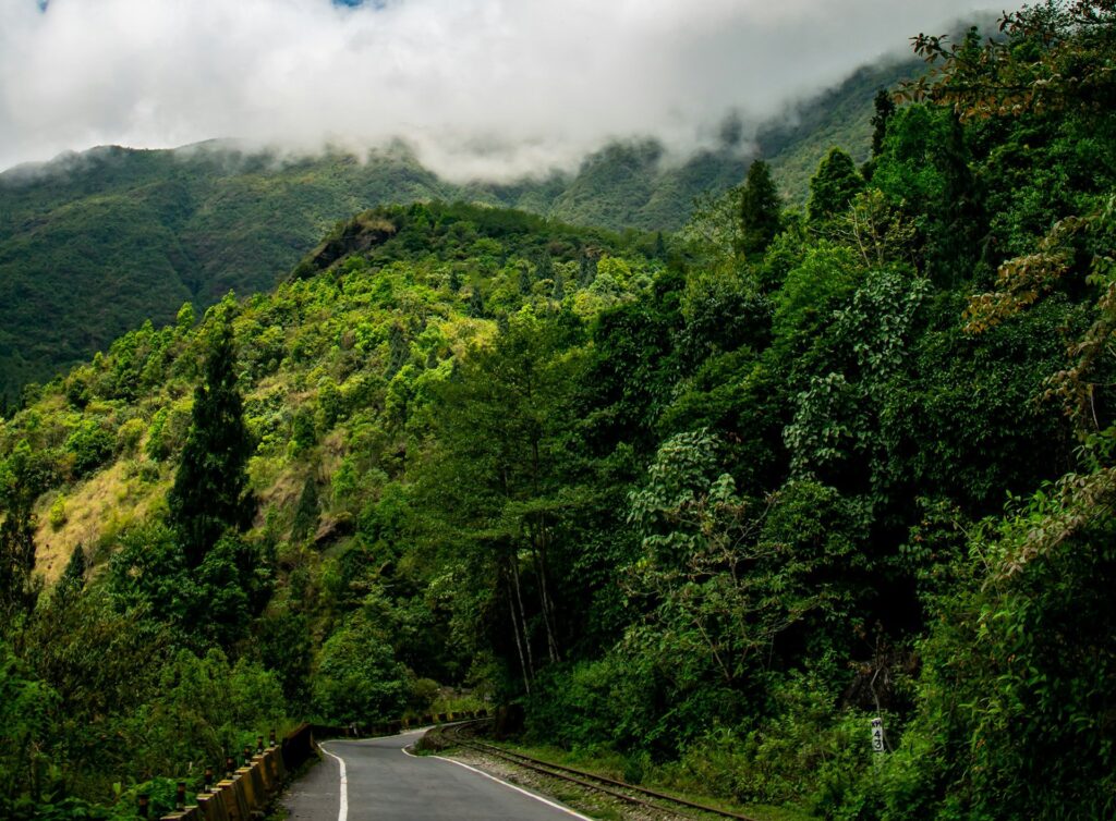 tourist places in india for summer