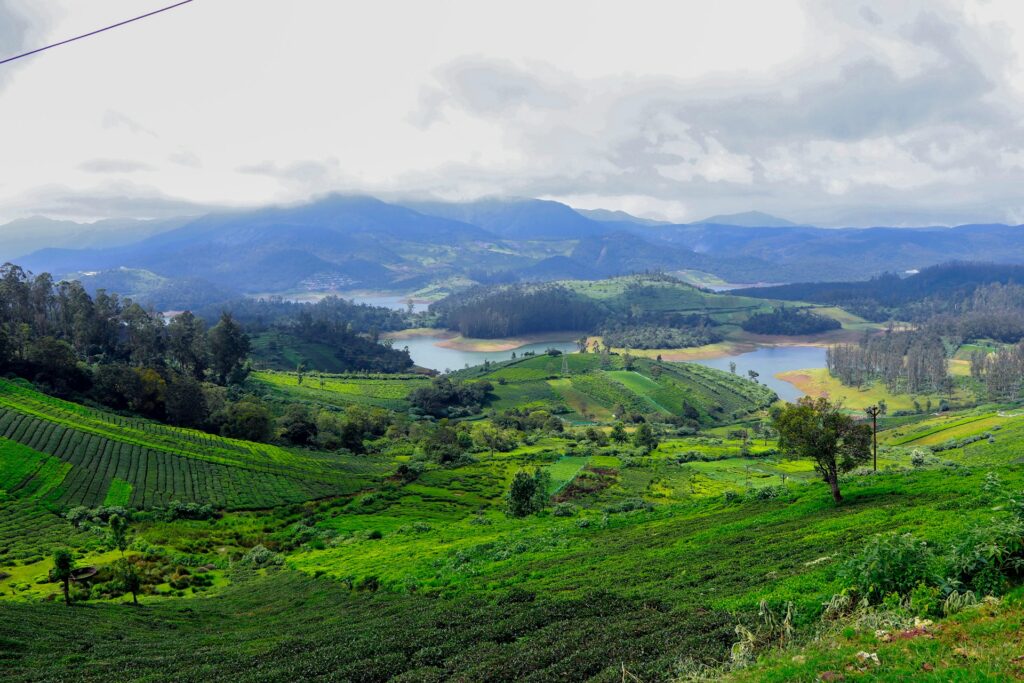 summer vacation spots in india