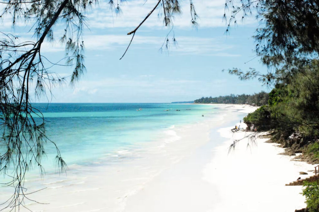 rarest beaches in the world